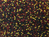 DSC06126 — копия (2)